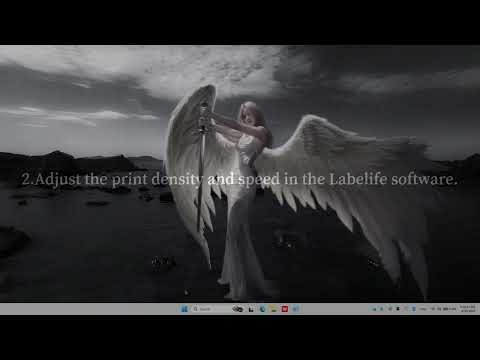 How to adjust the print density and speed on a computer