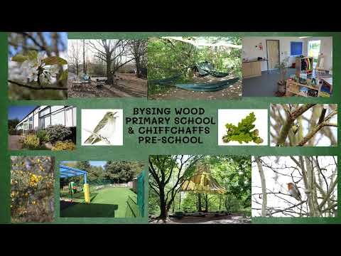 Bysing Wood Primary School Bird Box Live Stream