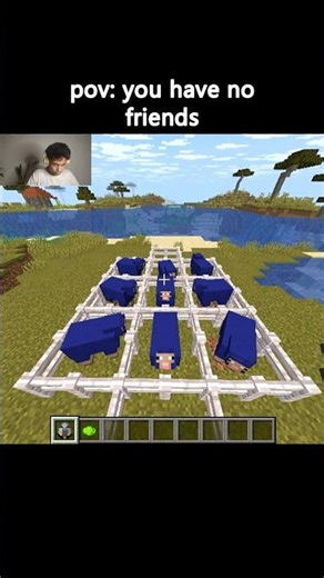 minecraft you have no friends 🥀