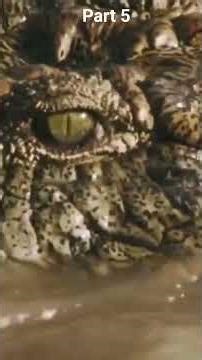 Crocodile Attacks Wildebeest Part 5 #animals #crocodile #wildebeestmigration #wildlife