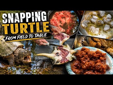 Snapping Turtle From Field to Table | Cleaning, Processing & Cooking