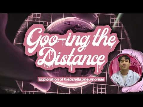 Goo-ing the Distance: Exploration of Klebsiella pneumoniae
