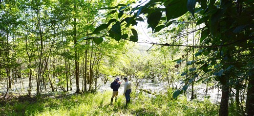 Indy-area nature challenge reveals what plants and animals live nearby