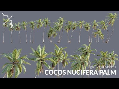 Ultra Realistic Cocos Nucifera Palm Tree for Unreal Engine | Hyper realistic WIND, RAIN, SNOW UE5