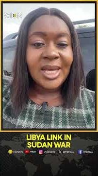 UN Report Links Libya Group to Foreign Fighters in Sudan War | WION Shorts