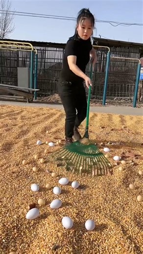 This farming tool has helped me a lot | Essential Tools for Rural Farmer #tools #farming