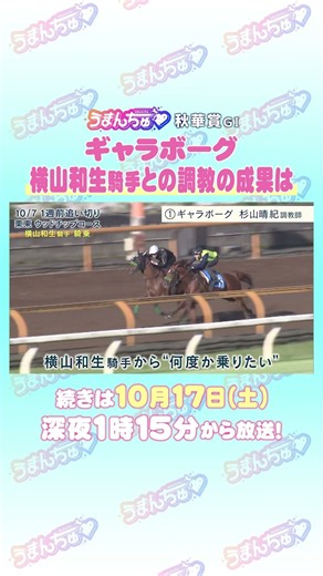 秋華賞 GⅠ トレセン直撃取材！ #競馬 #秋華賞 #ギャラボーグ #杉山晴紀 調教師
