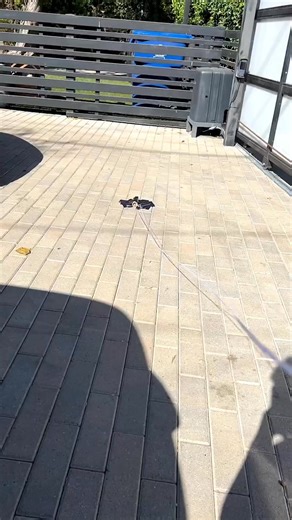 Smoke Bomb Prank On Friends Exotic Car! #fblifestyles | Jojo Sim