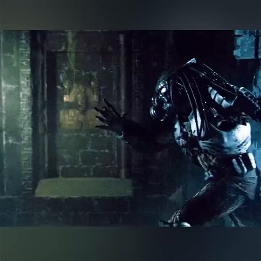 Aliens vs predators is one of the all time movies of the franchise 100/100 movie ratings