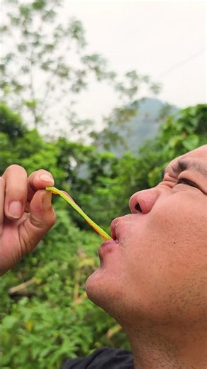 Skills: SMART idea and USEFUL in forest #bushcraft #camping #outdoors #survival