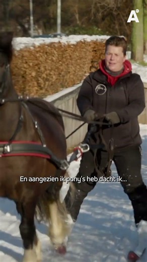 Mandy op ski's achter pony