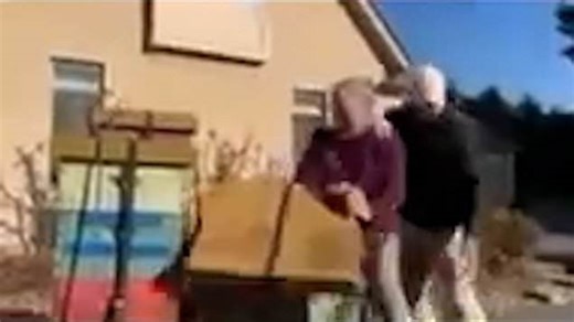 Moment woman unleashes swarm of bees on police officers trying to carry out an eviction