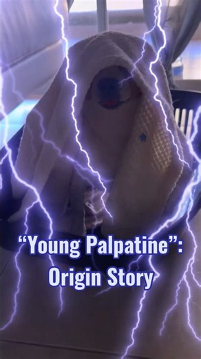 “Young Palpatine”: Origin Story#starwars # #disney#darkside#palpatine#sith
