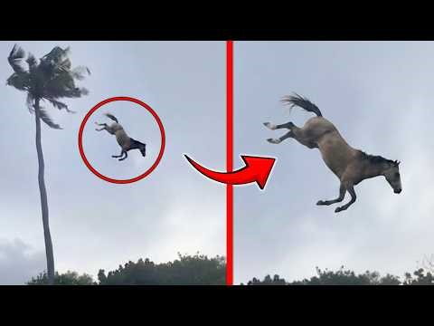 Creepy Real Life Glitch Videos Caught on Camera!