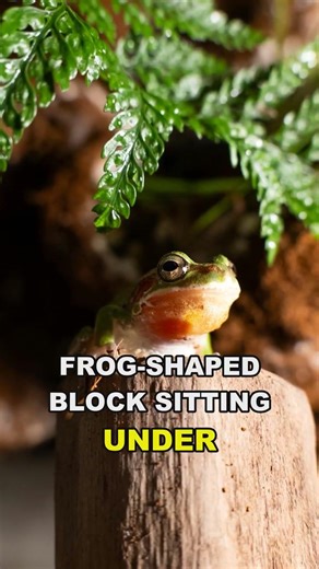 This Frog Freezes Solid Every Winter — Then Walks Away #Shorts #Biology