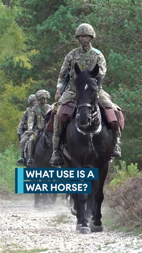 Could war horses give British Army a military advantage?
