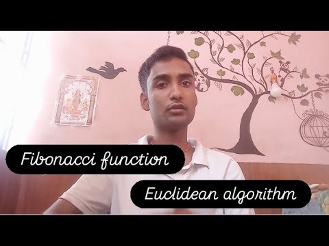 Fibonacci function और Recursive tree क्या होता हैं। Euclidean algorithm का maths में क्या योगदान हैं