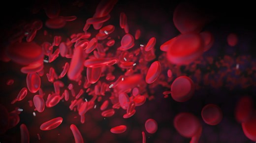 The link between Stress and High Blood Pressure