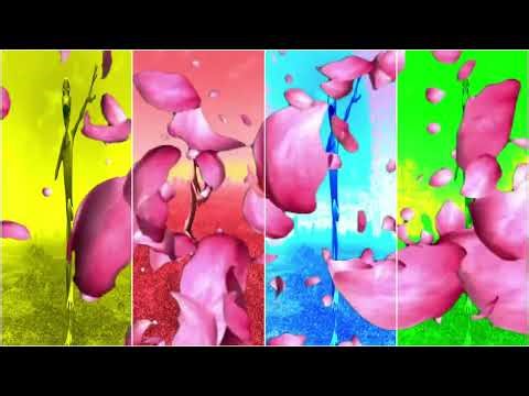 Dame Tu Cosita FULL HD 2026 | All Versions & Dance Compilation | Official Music Video