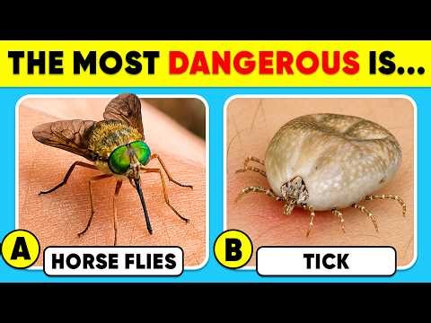 How Good Is Your Knowledge of ANIMALS? 😨🥶😱 General Knowledge Trivia Quiz