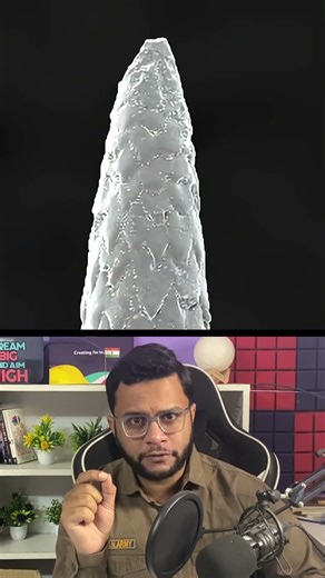 Never Touch Porcupine! #facts