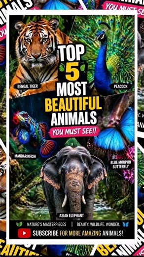 Top 5 Unique and Beautiful Animals That Will Amaze You!