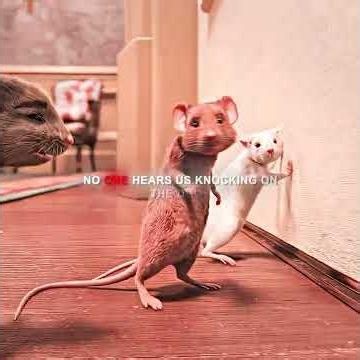 I turned into mice fight back #fantasy #funny