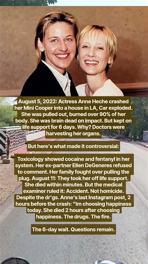 The Tragic Final Hours of Anne Heche That Sparked Many Questions