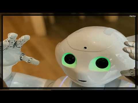 Machine Learning Algorithms for Regression - Complete Guide!