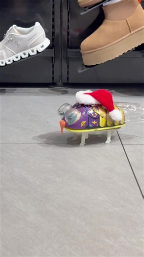 Cincinnati Cicadas Bring Holiday Cheer with Music