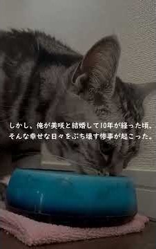 【修羅場】「お願い…私と離婚して…」土下座までした浮気妻が、7日後に見た地獄の光景「ひ、ひぃ…」