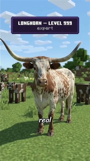 POV: You Installed the Texas Cow Update 🤦🏻‍♀️