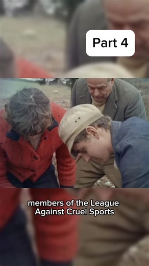 Understanding Fox Hunting and Its Impact on Country Life