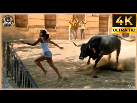 Craziest Animal Attacks Ever Caught On Camera | Amazing Animals #24