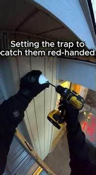 They Buried This Husky and Destroyed My Car...Then this happened!