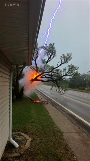 THAT'S THE EFFECT OF A LIGHTNING STRIKE.