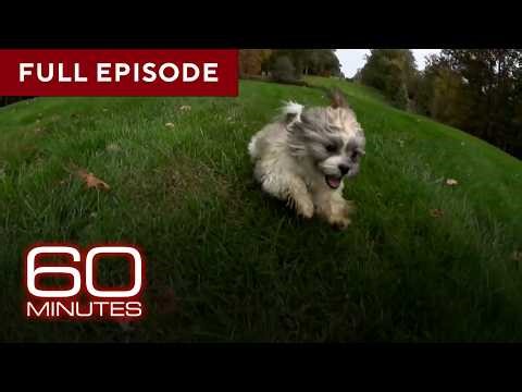 Stories About Dogs | 60 Minutes Full Episodes