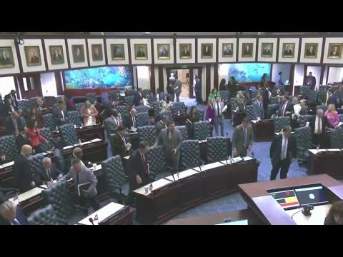 Gov. DeSantis signs new Florida congressional map, reducing Democratic districts