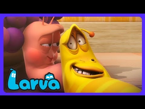 Larva - Salut Pink ! | Dessins Animés | WildBrain Enfants