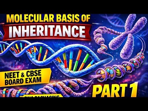 Molecular Basis of Inheritance |DNA Structure, Central Dogma & DNA Packaging | NEET & CBSE BOARD