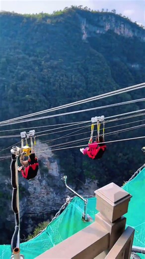 Music starts, freedom soars #High Wire Adventure# Great place for family fun