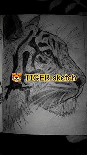 Tiger energy. Pencil art 🐯✏️ #drawing #pencilsketch #explorepage