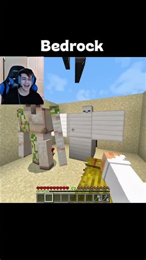 Minecraft Java Vs Bedrock!