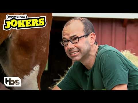 Sal, Q, & Murr's WORST Animal Punishments for 31 Minutes Straight | Impractical Jokers | TBS