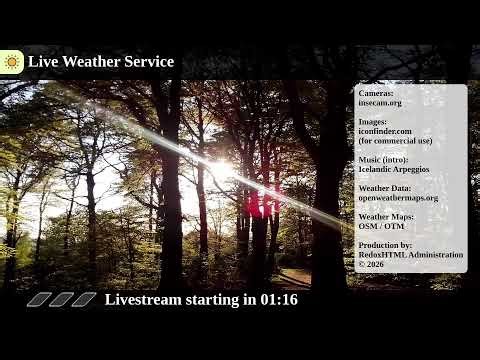 International live cameras and weather 🔴 LIVE Weather Service