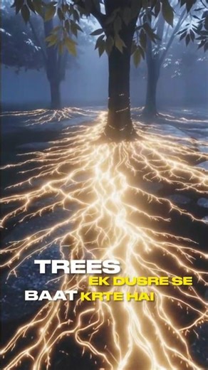 Jungle ka "Hidden" communication system! 😱 WWW #facts