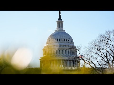 Health insurance CEOs testify at House hearing on health care affordability | full video