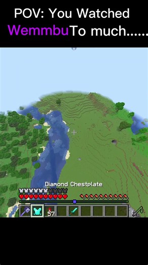 POV You Watched Wemmbu To Much......... #shorts #viral #minecraft
