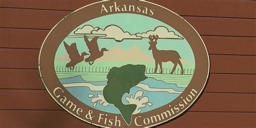 AGFC urges anglers to end ‘bucket stocking’