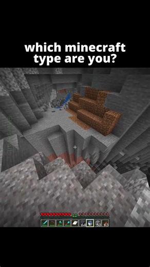 What Type Of Minecraft Player Are YOU? 😳